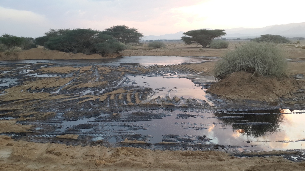 טיהור ופינוי שפכים