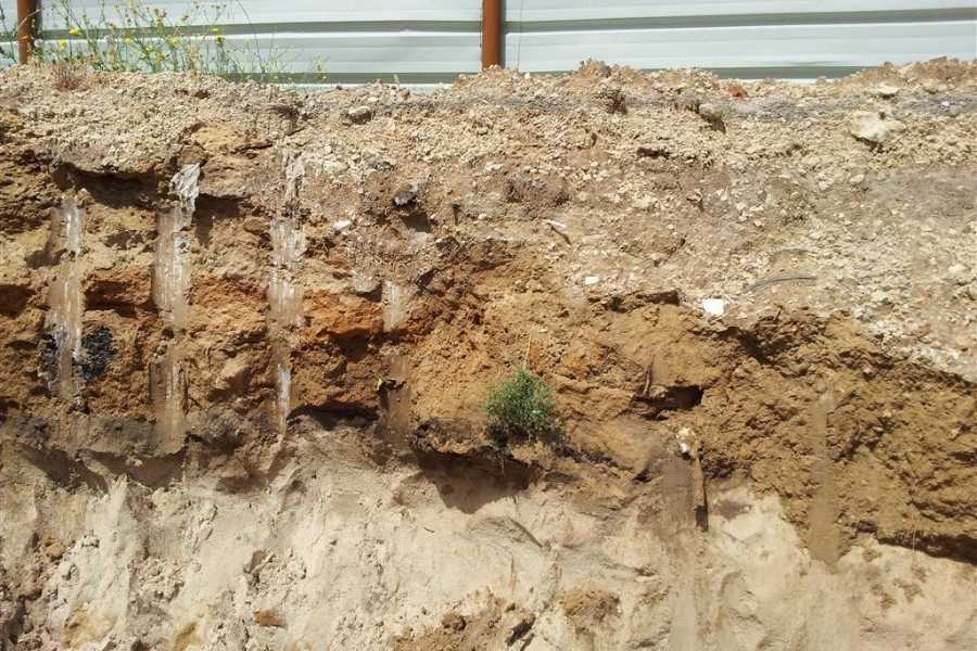 שיקום פריקט נדלן 1 (1)